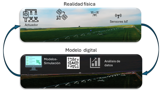 La digitalización inteligente del regadío: gemelos digitales